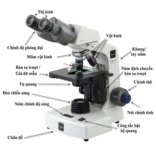 HIỆU CHUẨN THIẾT BỊ KÍNH HIỂN VI ĐO LƯỜNG / MICROSCOPE  . DỊCH VỤ HIỆU CHUẨN UY TÍN TẠI MIỀN BẮC